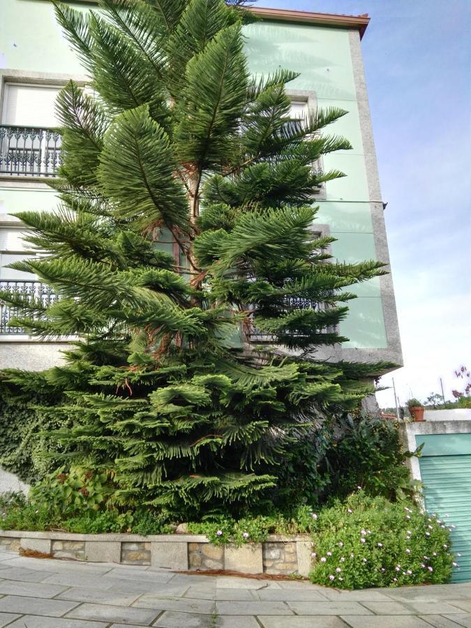 Apartamentos Vistalegre con jardín cerca del mar 2 Sanxenxo Exterior foto